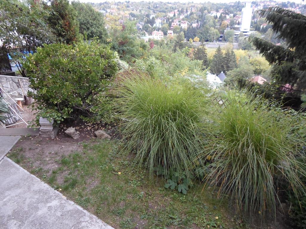 מישקולץ Panorama Szallas מראה חיצוני תמונה